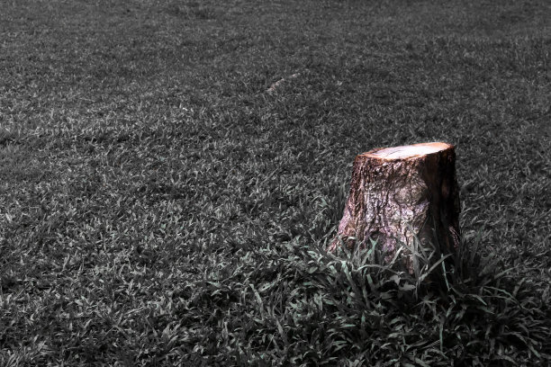 自然背景图片下载