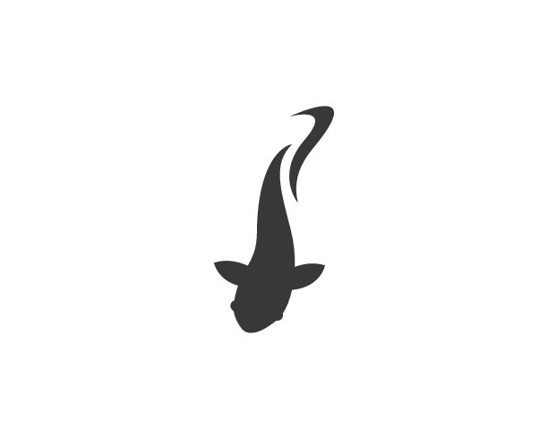 锦鲤鱼矢量图片下载