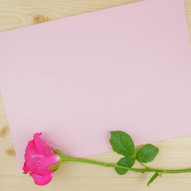 顶视图粉色玫瑰在木制的背景图片下载