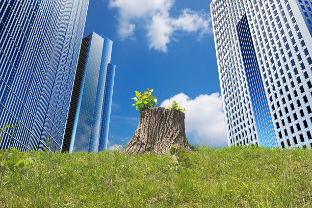 扩大城市建筑和砍伐森林。剪断的树桩又长出了新叶。环境问题的形象，如砍伐森林，二氧化碳和全球变暖。图片下载