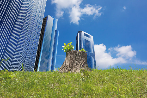 扩大城市建筑和砍伐森林。剪断的树桩又长出了新叶。环境问题的形象，如砍伐森林，二氧化碳和全球变暖。图片下载