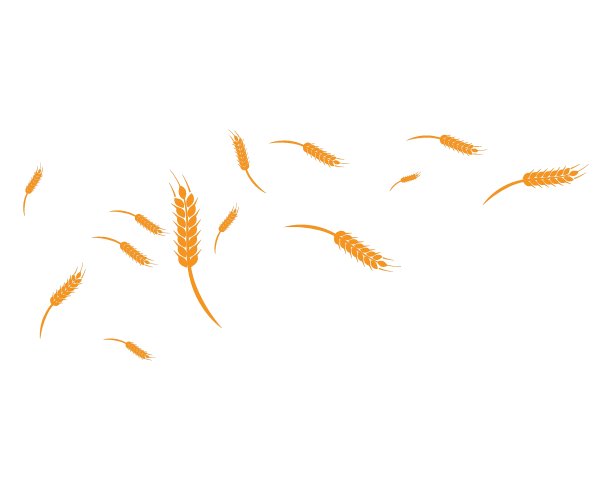 小麦背景模板图片下载