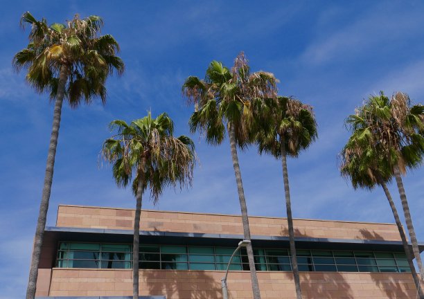 构建块图片下载