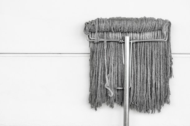 潮湿的暴徒在白色的背景图片下载