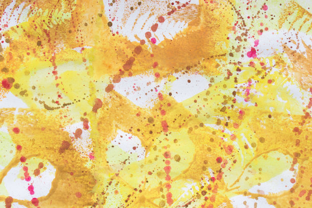 彩色的落叶印在白纸背景上图片下载