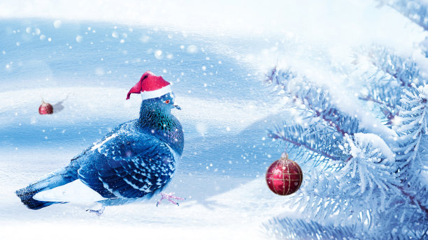 圣诞节的形象。圣诞老人帽子里的鸽子装饰着冬日魔法森林里的圣诞树。新年贺卡。冬季仙境。图片下载