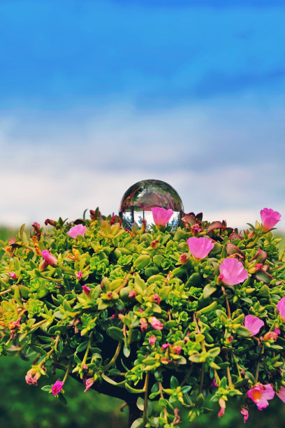 水晶球反射图片下载