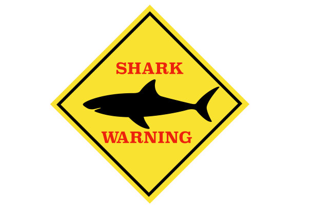 谨防鲨鱼图片下载