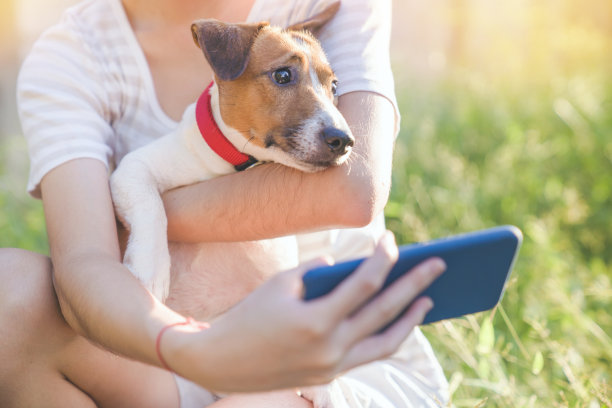 亚洲少女自拍与好玩的她的宠物杰克罗素梗狗在花园在夏天的早晨图片下载