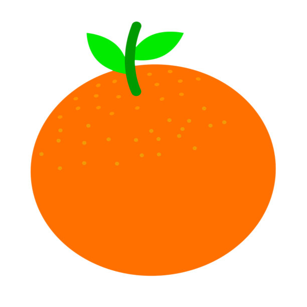 视图的橙色水果插图在白色的背景图片下载