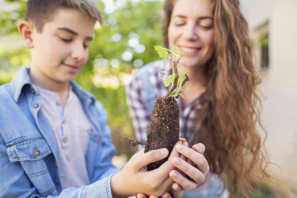 总有一天，小小的绿叶会长成茁壮的植物图片下载