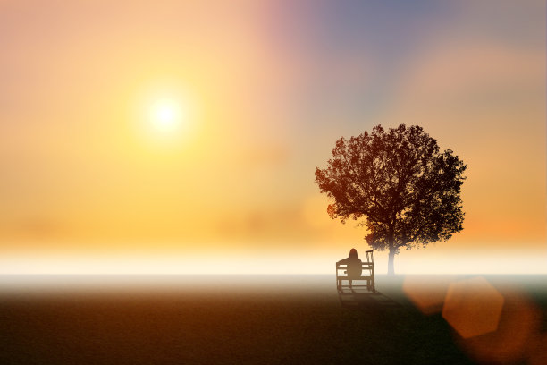 残疾人的剪影坐在有夕阳背景的大树下的椅子上。国际残疾人日、残疾人运动和残奥会概念。雾在清澈的自然。图片下载