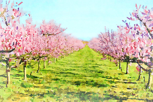 水彩画的花田图片下载