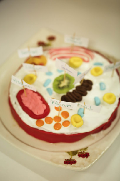 DNA蛋糕图片下载