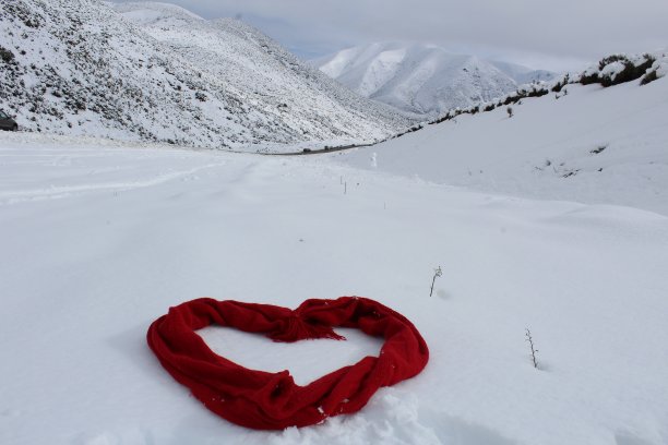 为了对雪的热爱图片下载