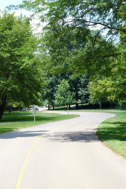 明媚阳光蜿蜒道图片下载