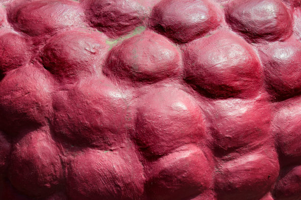 树莓的石头质地图片下载