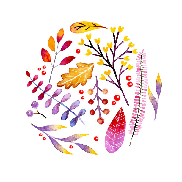 矢量手绘水彩花环的森林树叶，花，浆果。黑色星期五的折扣。秋天抽象的分支。梅apple，橙，南瓜，guelder，狗玫瑰。节日问候，销售横幅。图片下载