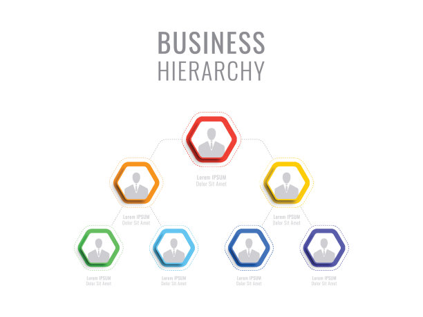 公司的组织结构。业务层次六角形信息图表元素。多层次的业务管理结构图片下载