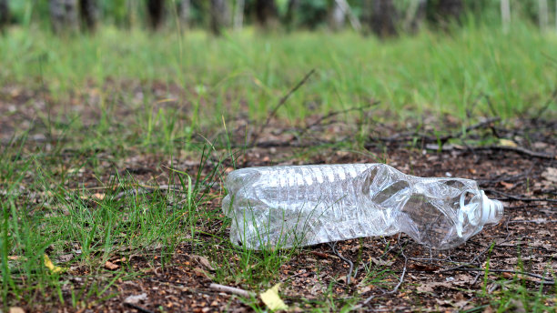 被扔在森林里的塑料瓶。垃圾。生态问题。图片下载