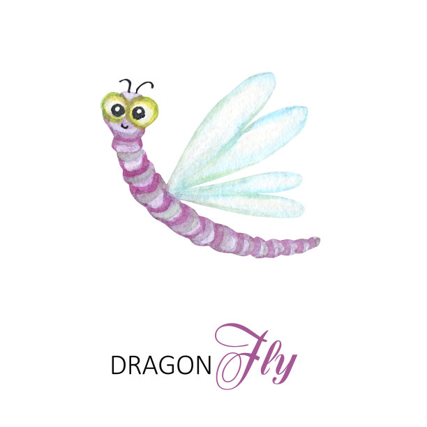 有趣的水彩蜻蜓，鲜艳的卡通昆虫。贺卡与文字。在白色背景上隔离图片下载