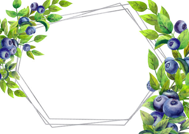 框架与成熟的蓝莓在白色孤立的背景。水平方向。水彩插图。图片下载