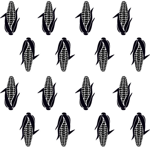 图案无缝手绘的黑色轮廓玉米棒子和谷物在白色的背景。图片下载