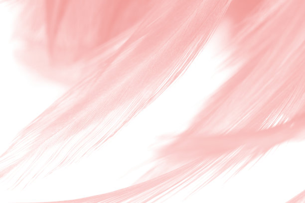 粉色复古色趋势羽毛纹理背景图片下载