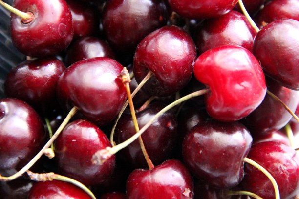 浆果成熟的樱桃。以成熟的樱桃为背景图片下载