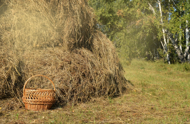 草堆上的柳条野餐篮子——阳光明媚的夏日里的真实乡村景色图片下载