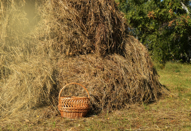 草堆上的柳条野餐篮子——阳光明媚的夏日里的真实乡村景色图片下载