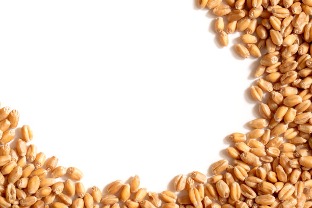 麦粒制成的框架(预留空白以供复印)图片下载