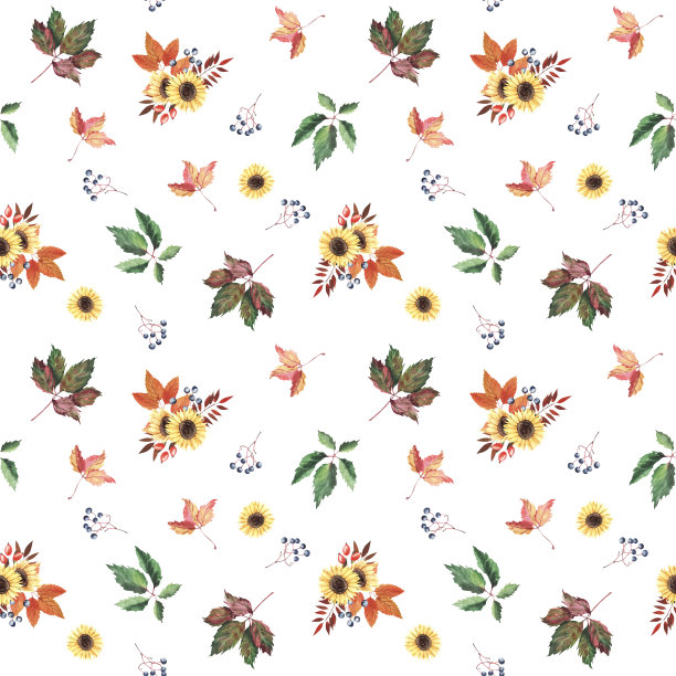 手绘水彩无缝模式与向日葵，秋天的叶子和浆果在白色的背景图片下载