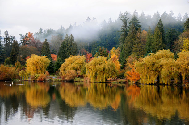 加拿大不列颠哥伦比亚省温哥华斯坦利公园迷失泻湖的秋色图片下载
