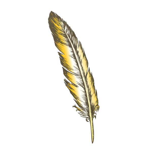 色彩装饰鸟类飞行元素羽毛向量图片下载