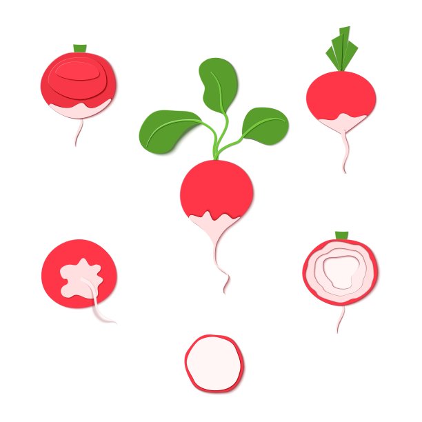 套剪纸红萝卜。矢量切纸设计形式为成熟根整片或切片或食品包装设计。矢量插图。纸贴花艺术风格根菜，折纸概念图片下载