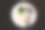 盘子里空着垃圾食物和绿叶蔬菜，盘子里盛着米饭，盘子里盛着叉和勺图片下载