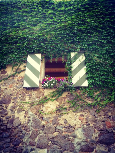 浪漫的墙壁，常春藤和一扇窗图片下载