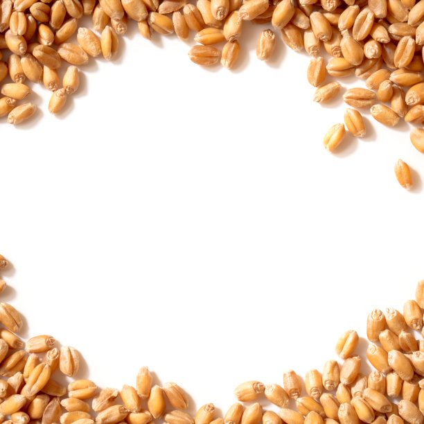 麦粒制成的框架(预留空白以供复印)图片下载