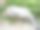 一个年轻人躺在长凳上图片下载