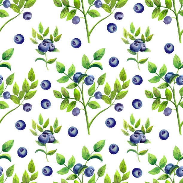 无缝模式与成熟的蓝莓在白色孤立的背景。水彩插图。图片下载