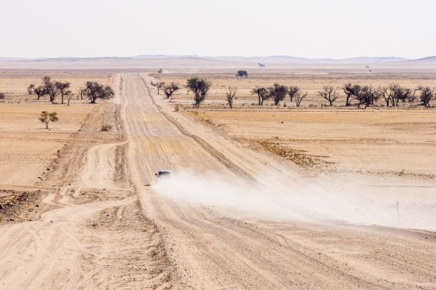 在纳米比亚的纳米布沙漠中，一辆皮卡在俯冲时产生了一片尘埃云图片下载
