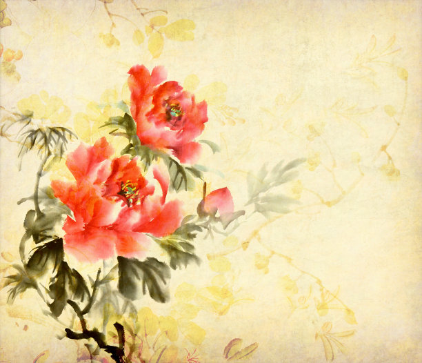 牡丹，中国传统水墨画。图片下载