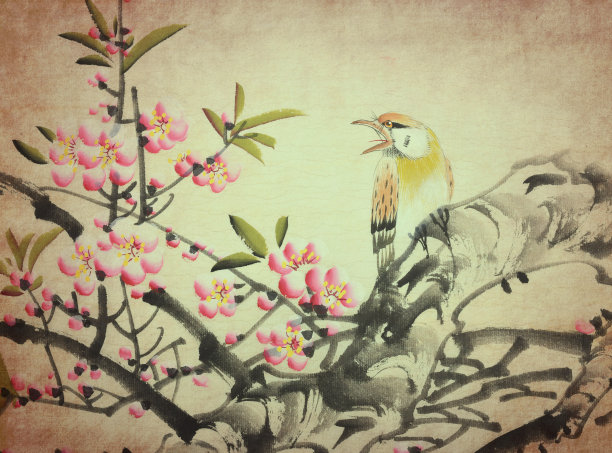 中国画春梅花鸟图片下载