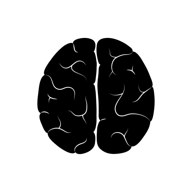 人脑解剖的矢量图解图片下载