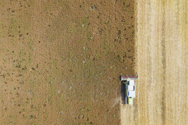 收割机在收获地里的鸟瞰图图片下载