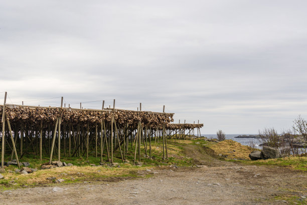 勒内岛及其周边风景一览无余，罗浮敦群岛图片下载