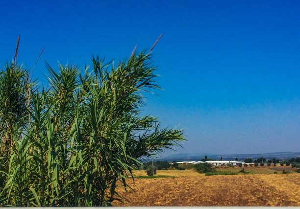 意大利是美丽的图片下载