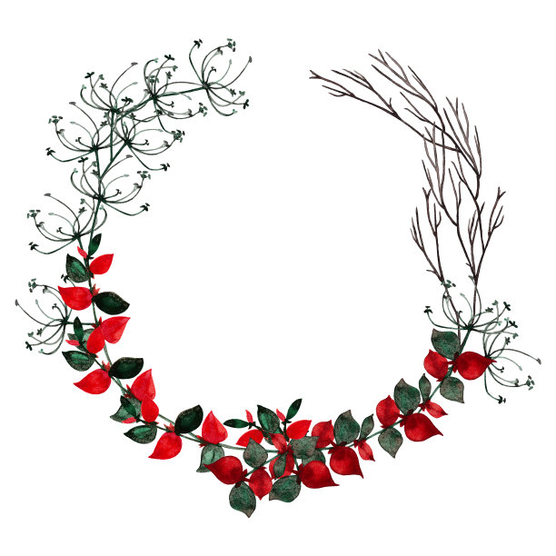 圆的植物。图片下载