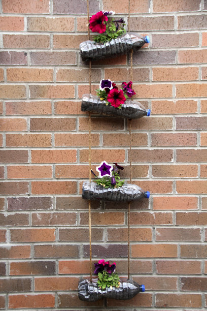 塑料水瓶被用作花盆图片下载